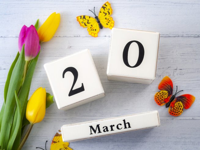 Снимка: istock