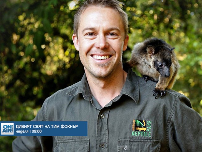 Снимка: Bulgaria ON AIR.