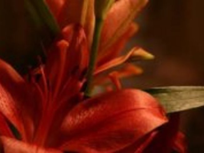 Честит имен ден!