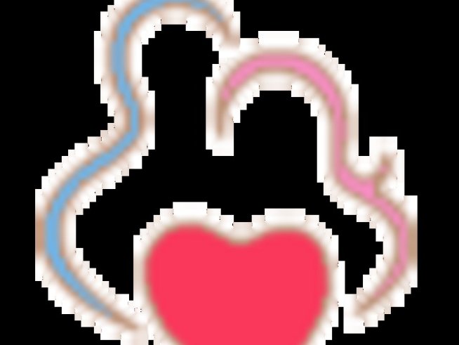 Сдружение “Зачатие”