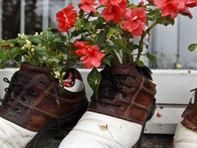 Бира с чесън – деликатесен екотор за стайните цветя