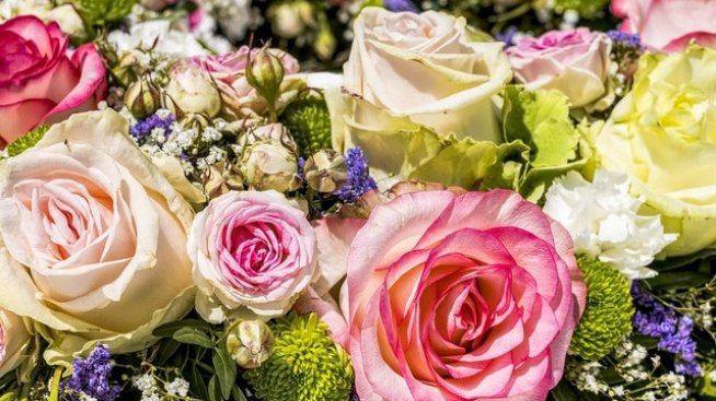 Честит имен ден на Даниел, Данаил и Даниела! Снимка: pixabay