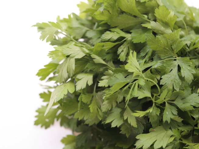 Снимка: photl.com