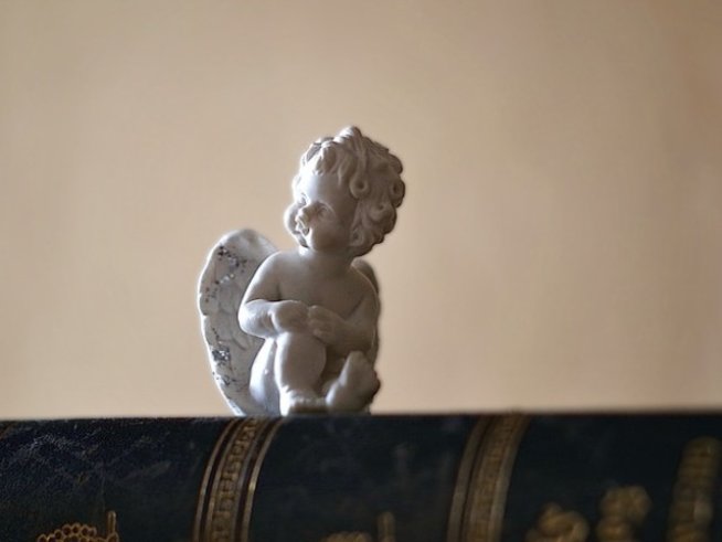 Снимка: pixabay