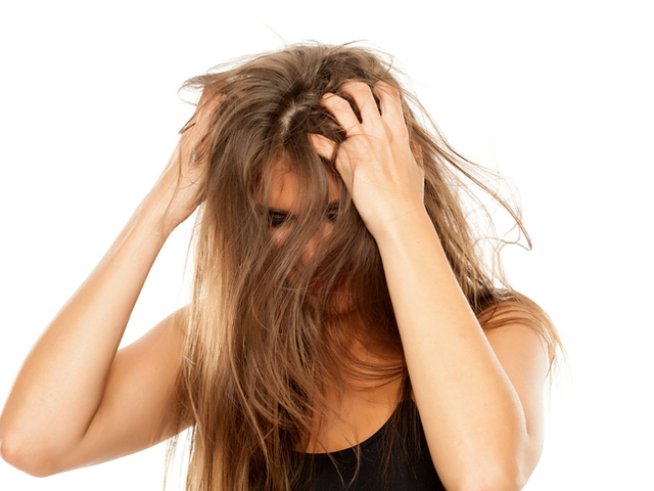 Снимка: istock