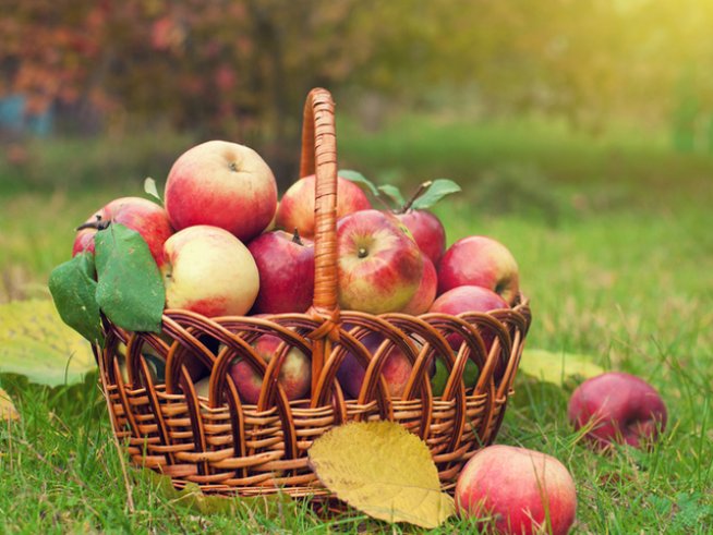 Снимка: istock