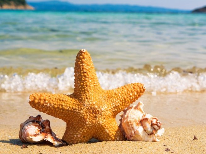 Снимка: pixabay