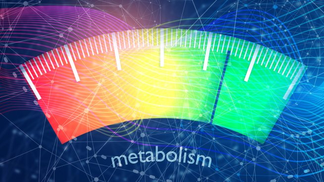 5 трика за забързване на метаболизма за по-лесно отслабване. Снимка: istock