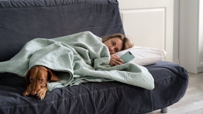 Снимка: istock