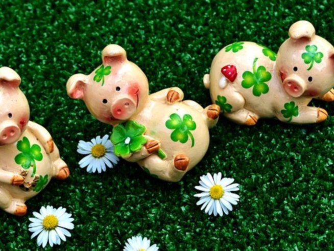 Снимка: pixabay