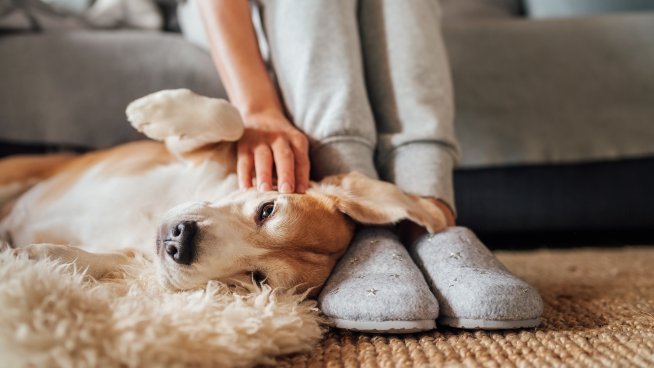 Снимка: iStock