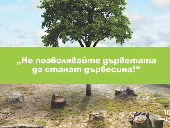 ЧЕЗ обявява фотоконкурс „Не позволявайте дърветата да станат дървесина“