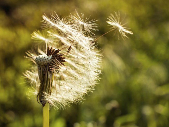 Снимка: istockphoto