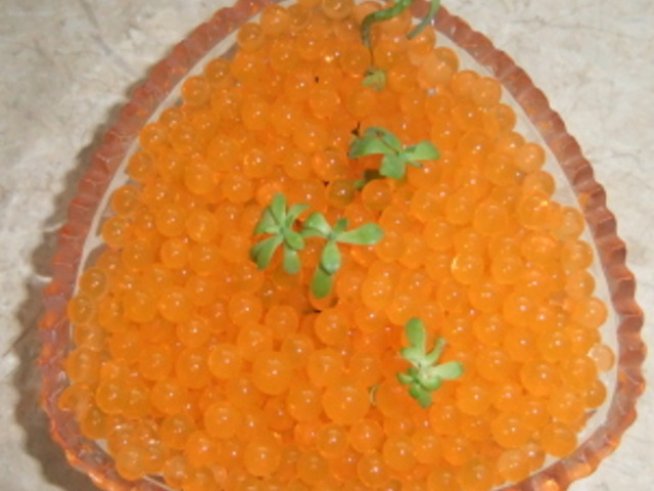 Екопочва и други опасности за малки деца