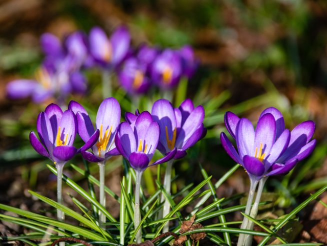 Снимка: istock