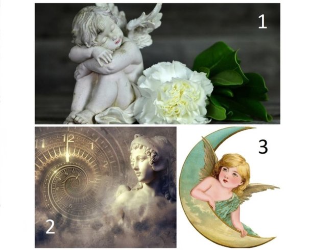 Снимки: istock; pixabay