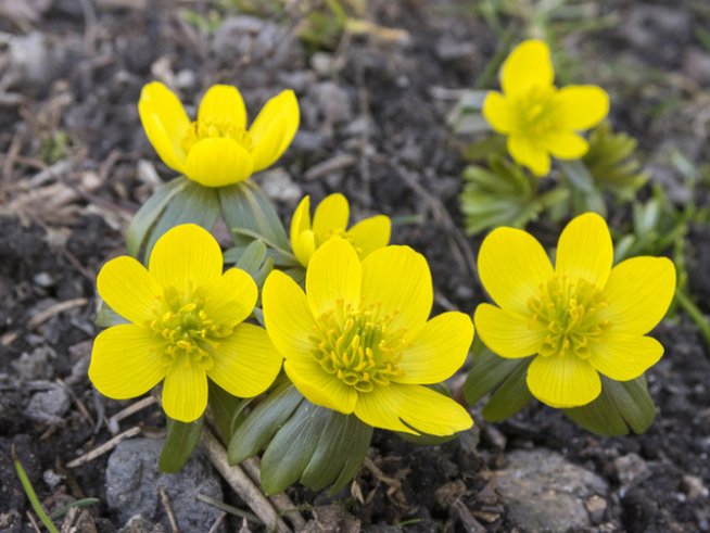 Снимка: istock