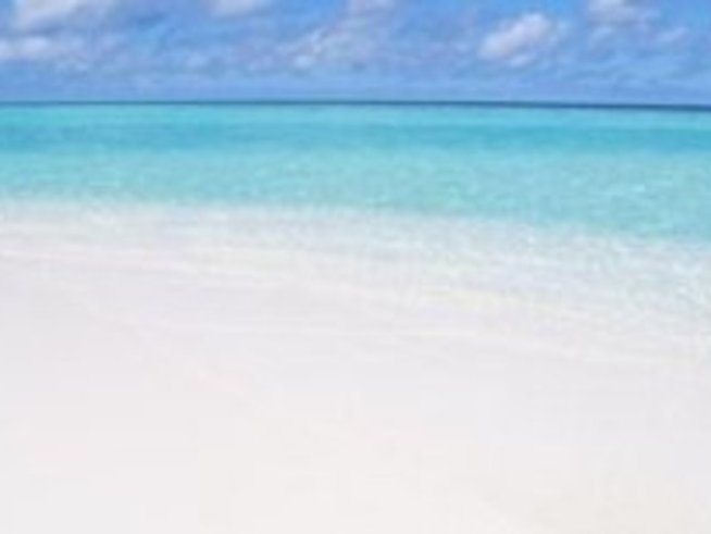 Най-предпочитаните от българи курорти са Албена и Банско