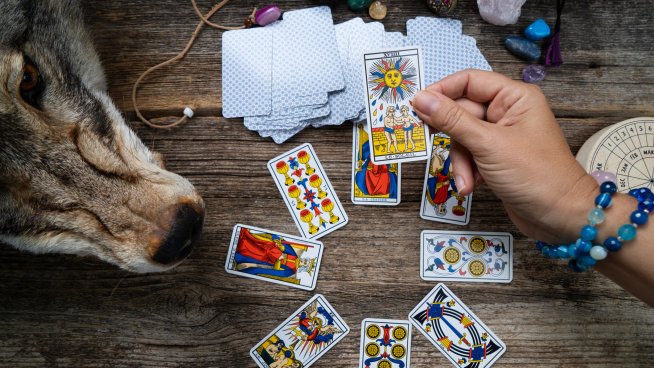 Снимка: istock