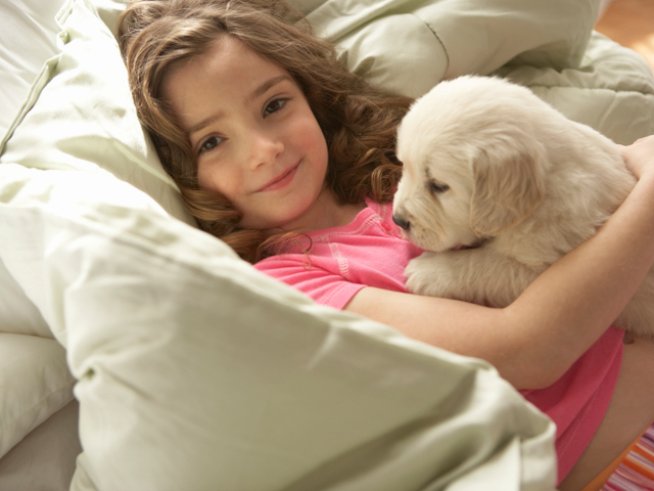 Снимка: Thinkstock