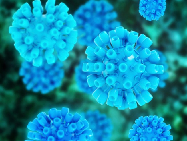 Снимка: Thinkstock