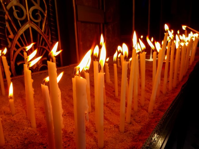 Снимка: istock