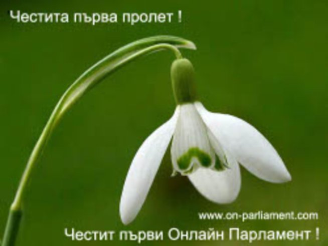 Първият български Онлайн парламент започва работа