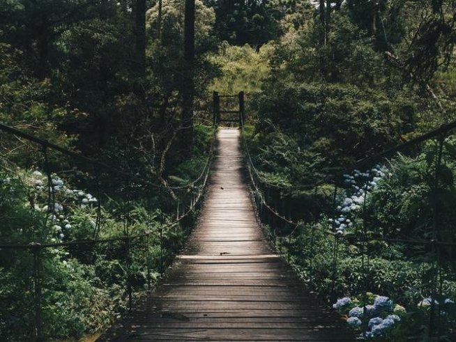 Снимка: pexels