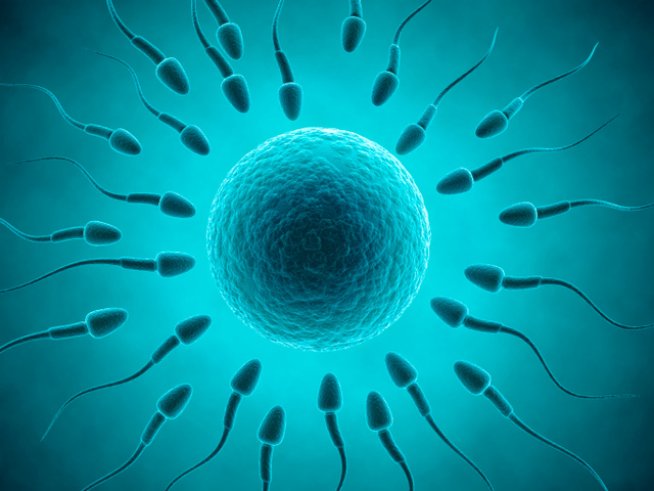 Снимка: Thinkstock