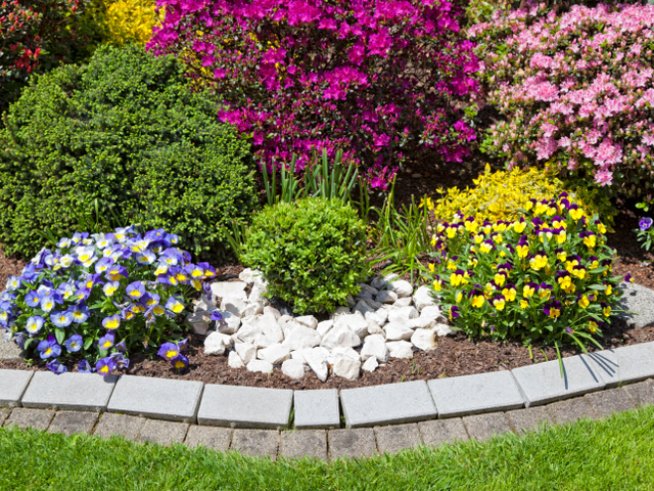 снимка: thinkstock