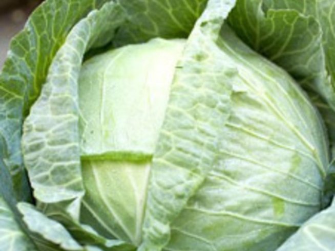 Зелеви листа за подхранване на суха и нормална кожа