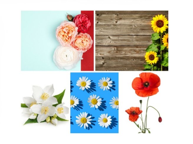снимки: Istock