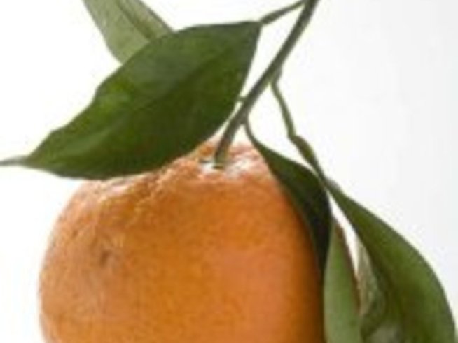 Храни за здраве и енергия през зимата