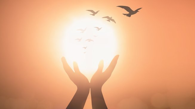 Снимка: iStock