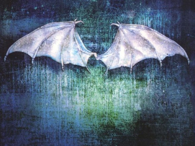 Корица: издателство "Емас"