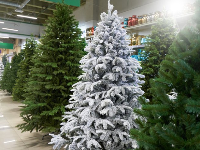 Снимка: istock