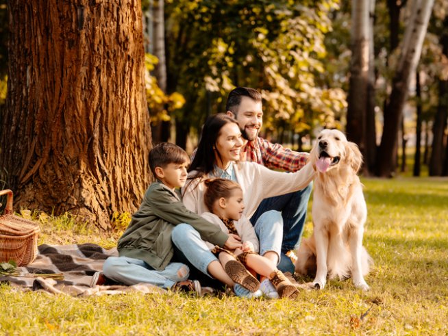 Снимка: istock