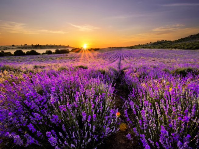 Снимка: Thinkstock