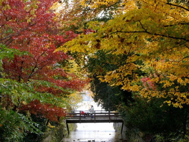 Любовни есенни рими – 10-а част