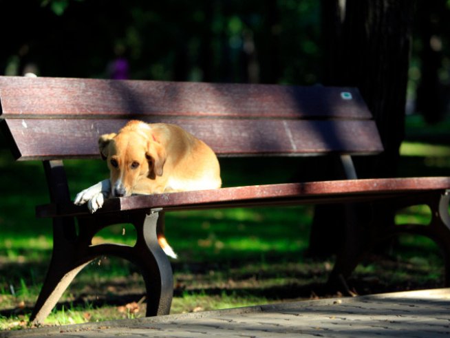 Любовни есенни рими – 11-а част