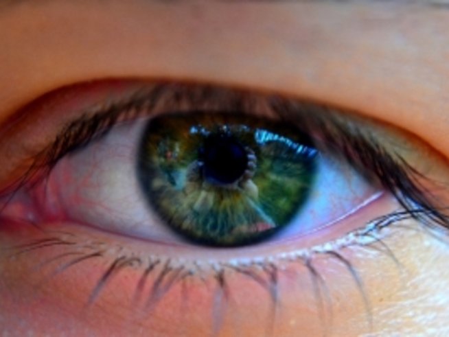 Снимка: Sxc.hu