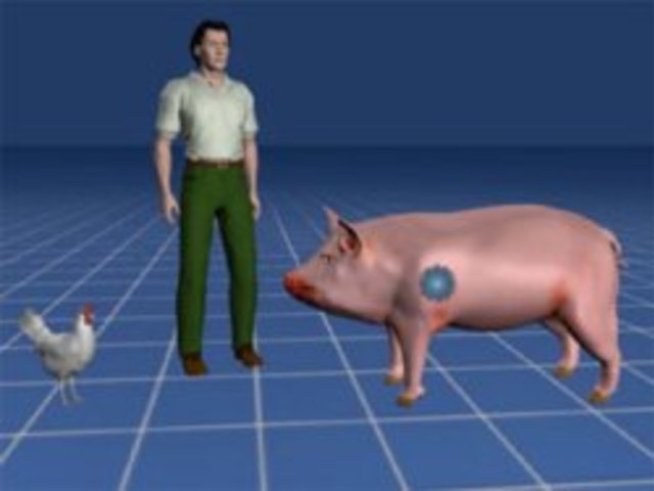 Свински грип, ваксини и фармацевтични компании