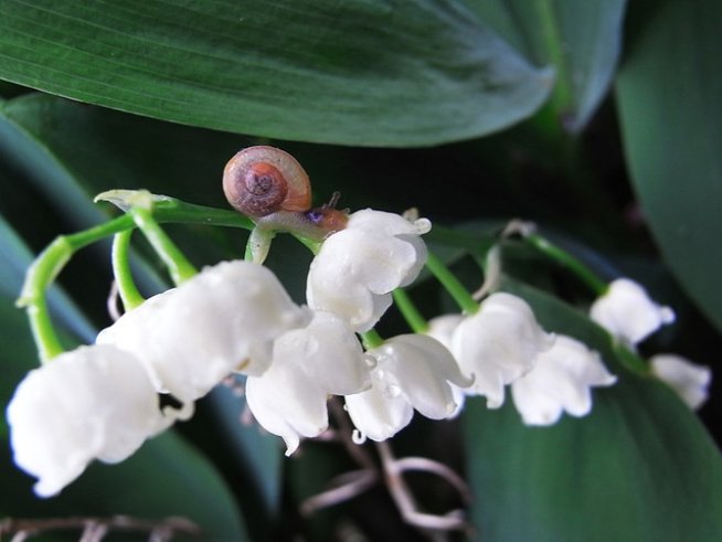 Снимка: Sxc.hu