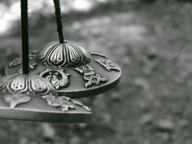 Снимка: freeimages