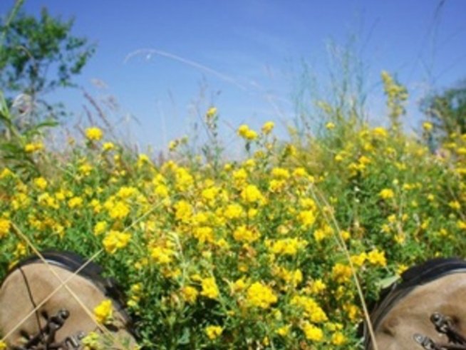 Туризмът гълта на един залък дивите места в България