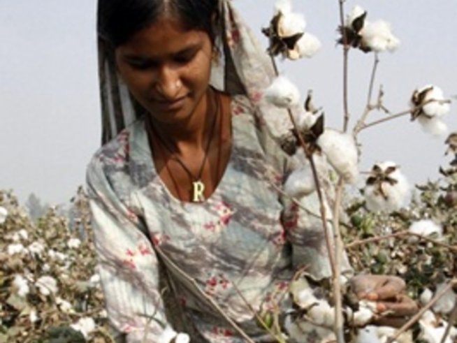 Грижа за памучните дрехи