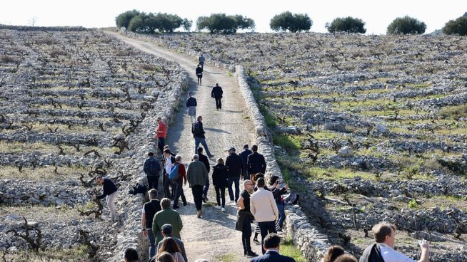 Българското розе Face 2 Face (F2F) спечели златен медал на световен конкурс