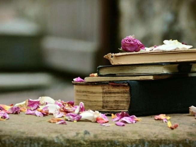 Снимка: pixabay