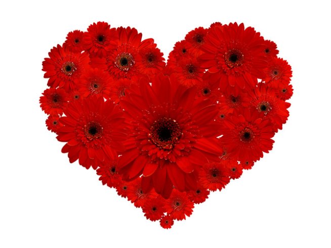 Снимка: Sxc.hu