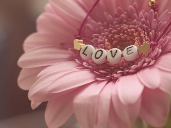 Снимка: pixabay